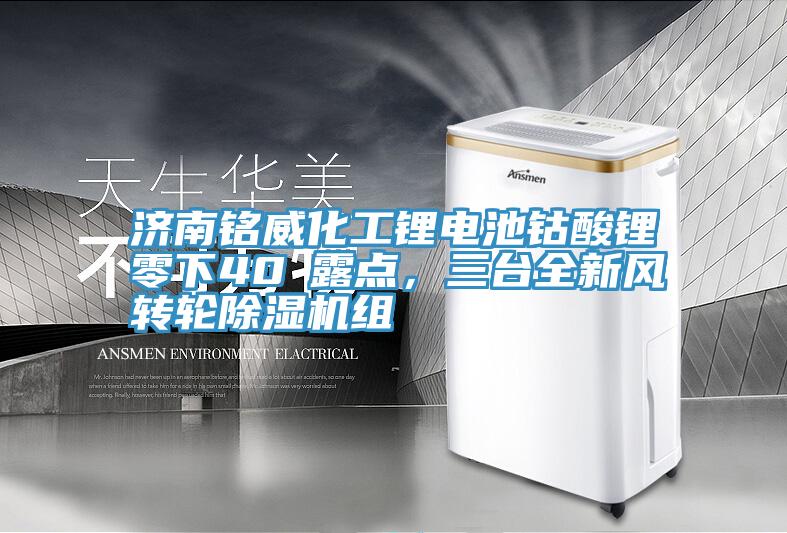 濟(jì)南銘威化工鋰電池鈷酸鋰零下40℃露點(diǎn)，三臺(tái)全新風(fēng)轉(zhuǎn)輪除濕機(jī)組