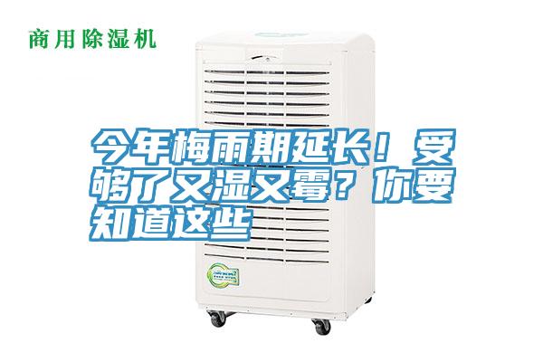 今年梅雨期延長！受夠了又濕又霉？你要知道這些
