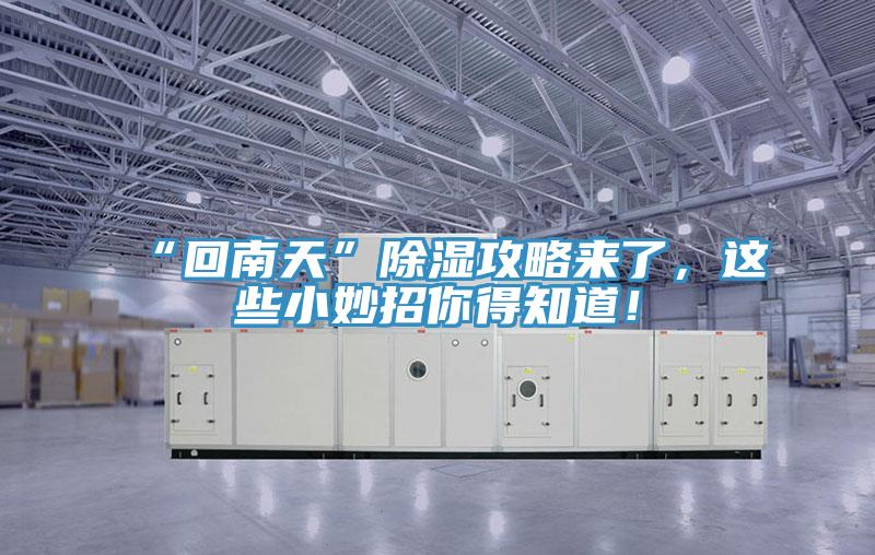 “回南天”除濕攻略來(lái)了，這些小妙招你得知道！