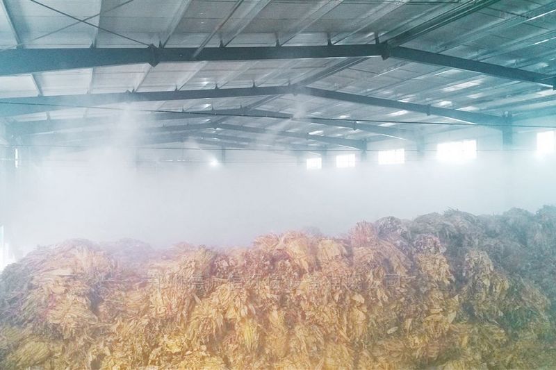 提升煙葉加工質(zhì)量，高效回潮很重要
