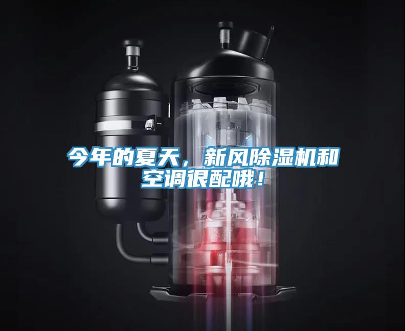 今年的夏天，新風(fēng)除濕機(jī)和空調(diào)很配哦！
