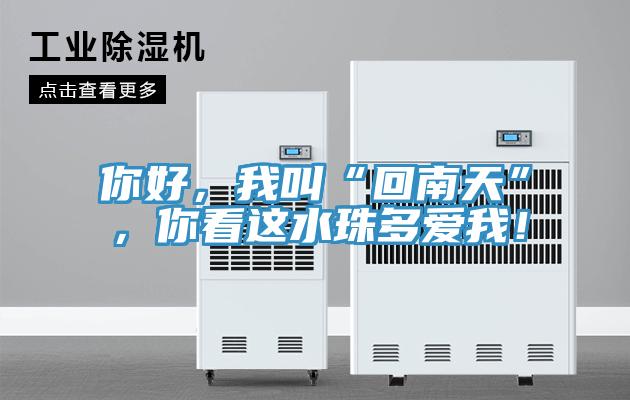 你好，我叫“回南天”，你看這水珠多愛我！
