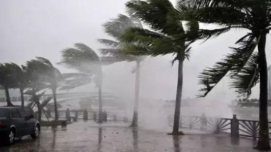 8月臺(tái)風(fēng)雨即將來，除濕機(jī)還得用起來