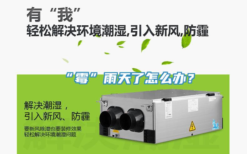 “霉”雨天了怎么辦？