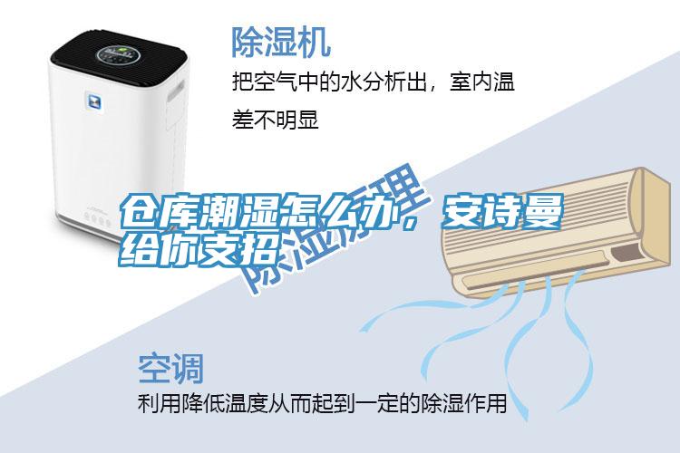 倉(cāng)庫(kù)潮濕怎么辦，安詩(shī)曼給你支招