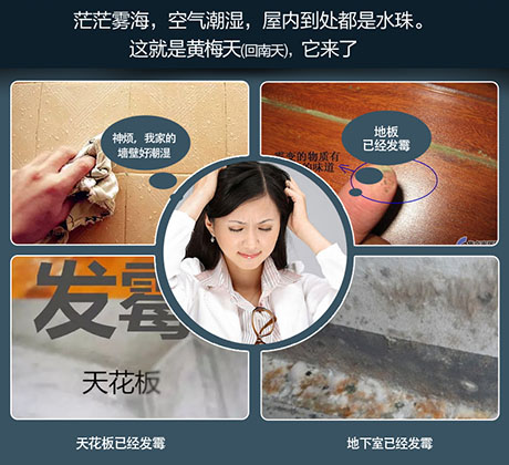 家庭別墅的地下室、衛(wèi)生間、儲(chǔ)物室等該如何除濕？