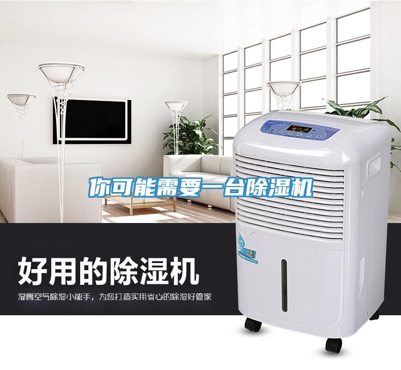 你可能需要一臺除濕機(jī)