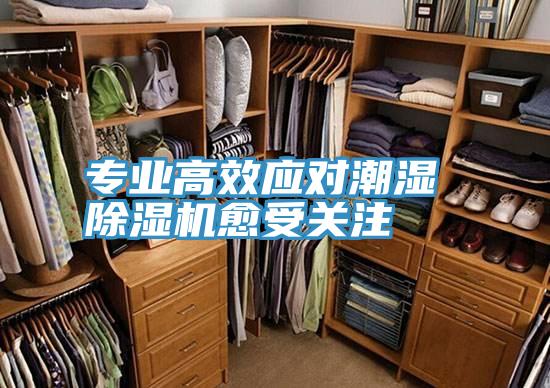 專業(yè)高效應(yīng)對潮濕 除濕機愈受關(guān)注