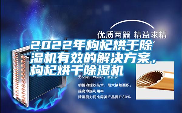 2022年枸杞烘干除濕機有效的解決方案，枸杞烘干除濕機