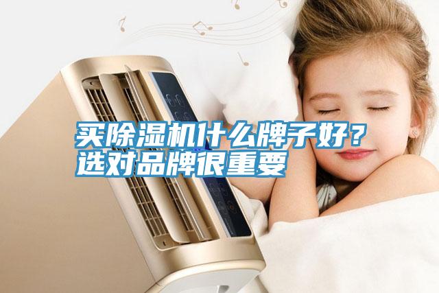 買除濕機(jī)什么牌子好？選對(duì)品牌很重要