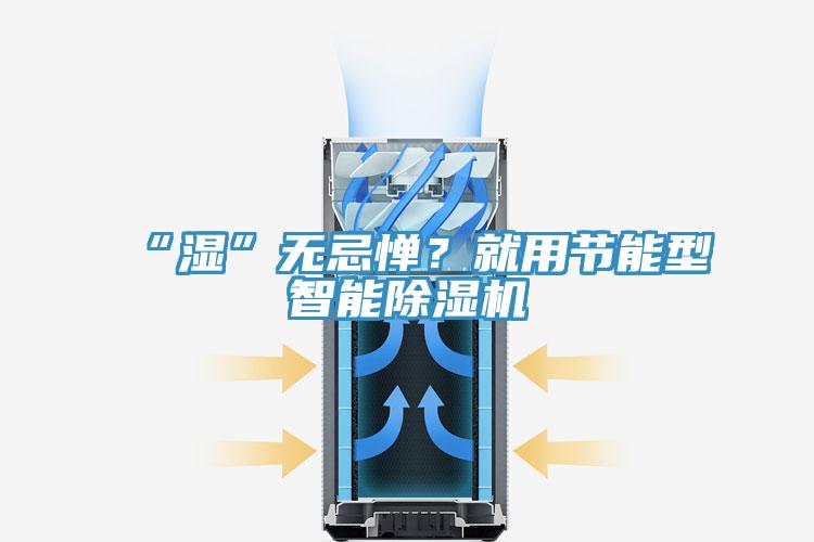 “濕”無忌憚？就用節(jié)能型智能除濕機(jī)