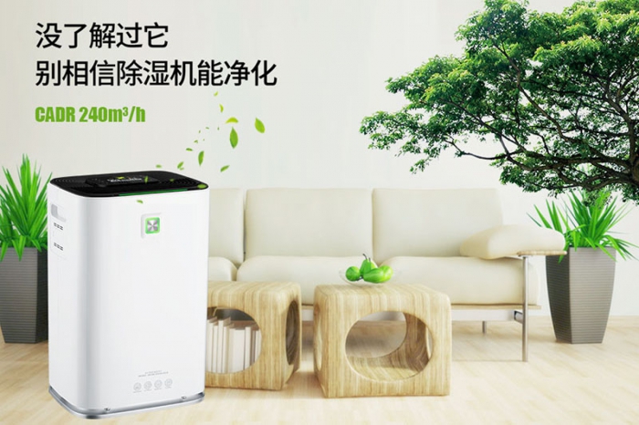 一到回南天狗狗就感冒+皮膚病，怎么辦？