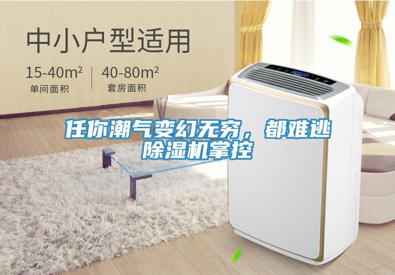 任你潮氣變幻無(wú)窮，都難逃除濕機(jī)掌控