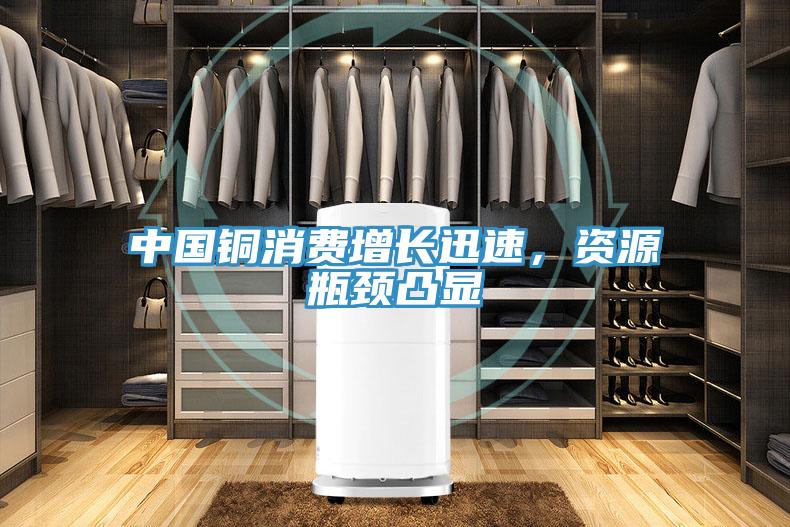 中國(guó)銅消費(fèi)增長(zhǎng)迅速，資源瓶頸凸顯