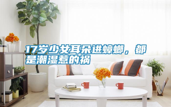 17歲少女耳朵進蟑螂，都是潮濕惹的禍