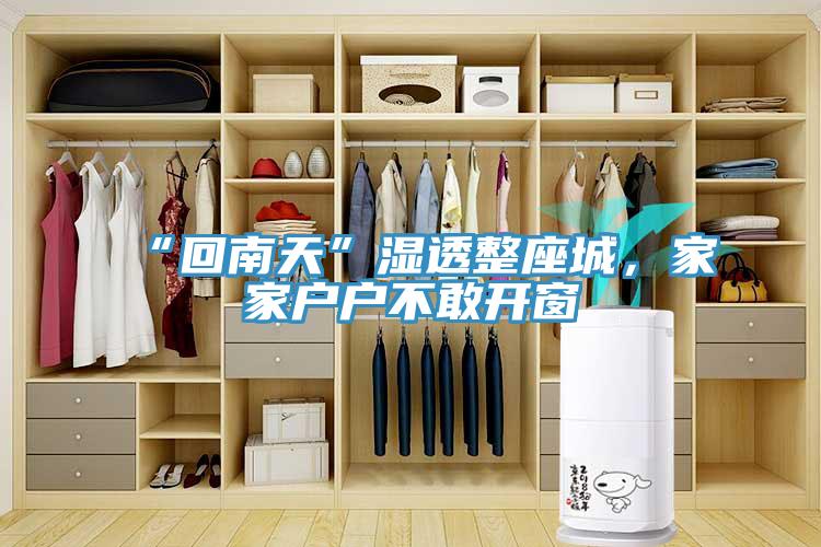 “回南天”濕透整座城，家家戶戶不敢開窗