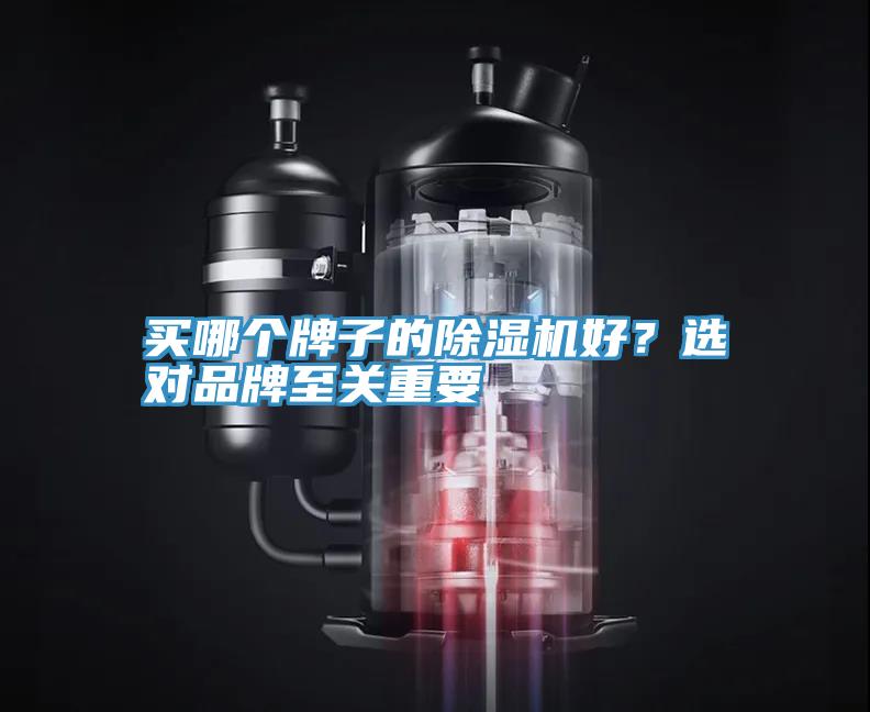 買哪個(gè)牌子的除濕機(jī)好？選對(duì)品牌至關(guān)重要