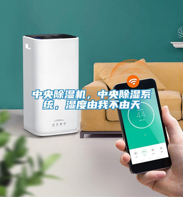 中央除濕機(jī)，中央除濕系統(tǒng)，濕度由我不由天