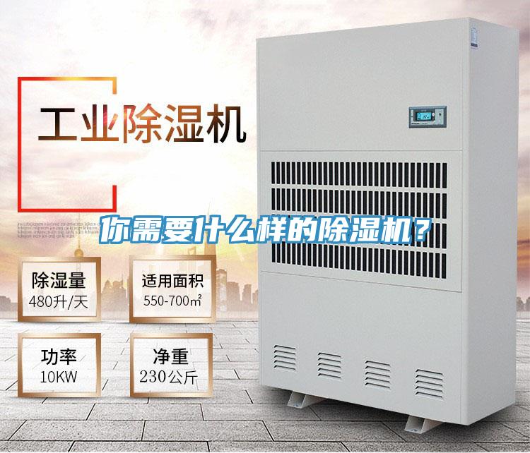 你需要什么樣的除濕機(jī)？