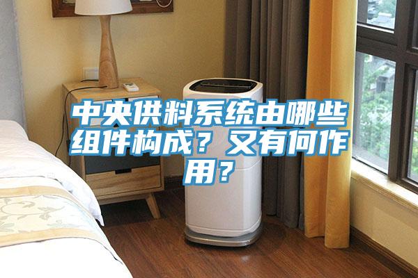 中央供料系統(tǒng)由哪些組件構(gòu)成？又有何作用？