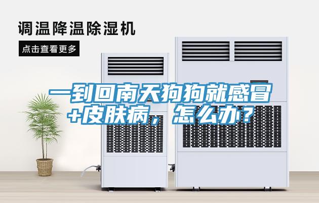 一到回南天狗狗就感冒+皮膚病，怎么辦？