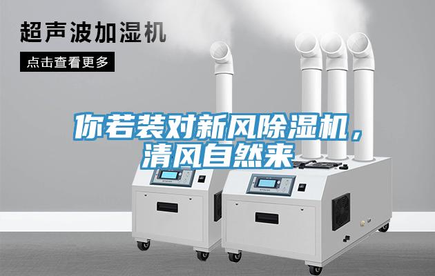 你若裝對(duì)新風(fēng)除濕機(jī)，清風(fēng)自然來