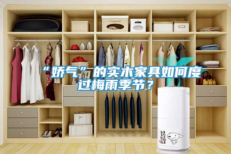 “嬌氣”的實(shí)木家具如何度過梅雨季節(jié)？