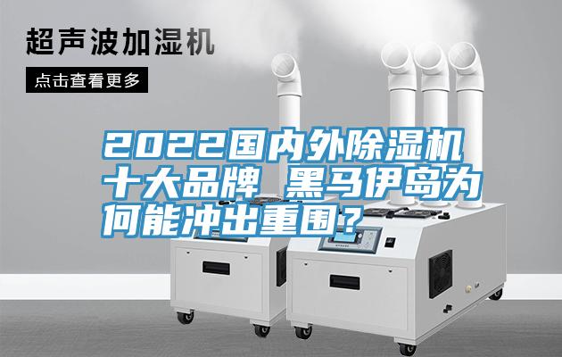 2022國內(nèi)外除濕機(jī)十大品牌 黑馬伊島為何能沖出重圍？