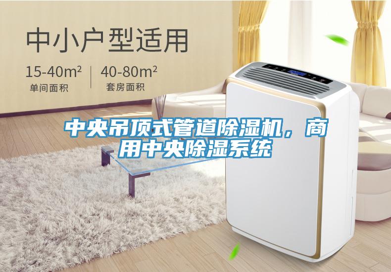 中央吊頂式管道除濕機，商用中央除濕系統(tǒng)