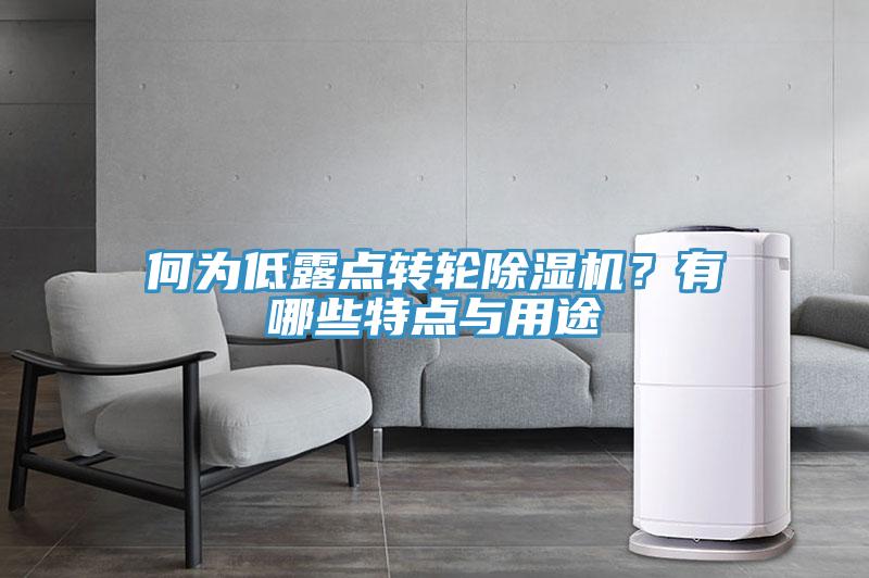 何為低露點(diǎn)轉(zhuǎn)輪除濕機(jī)？有哪些特點(diǎn)與用途