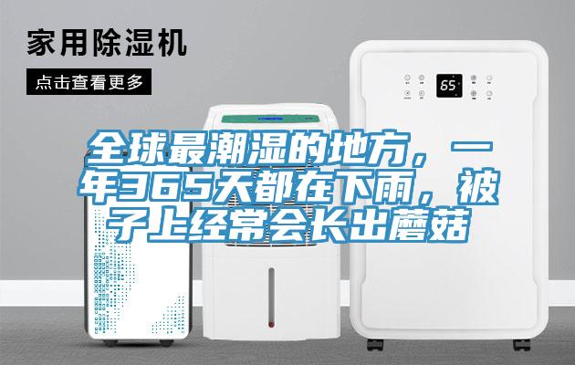 全球最潮濕的地方，一年365天都在下雨，被子上經(jīng)常會長出蘑菇
