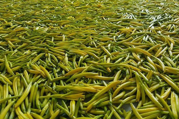 無硫金針菜烘干如何保持品相？不發(fā)黑？_除濕機廠家
