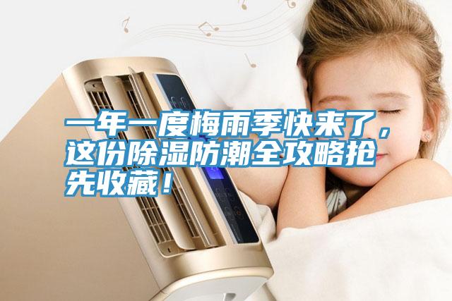 一年一度梅雨季快來了，這份除濕防潮全攻略搶先收藏！