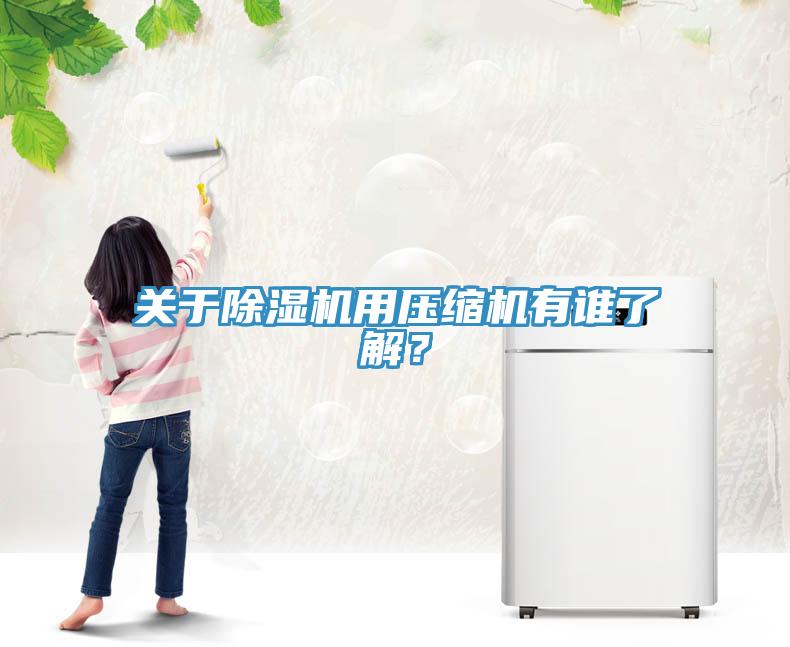 關(guān)于除濕機(jī)用壓縮機(jī)有誰了解？