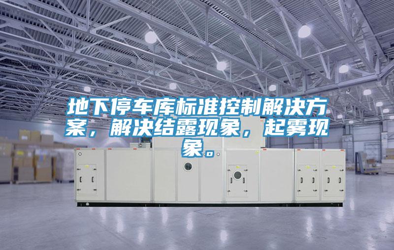 地下停車庫標(biāo)準(zhǔn)控制解決方案，解決結(jié)露現(xiàn)象，起霧現(xiàn)象。