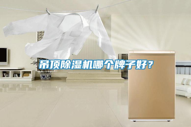 吊頂除濕機(jī)哪個(gè)牌子好？