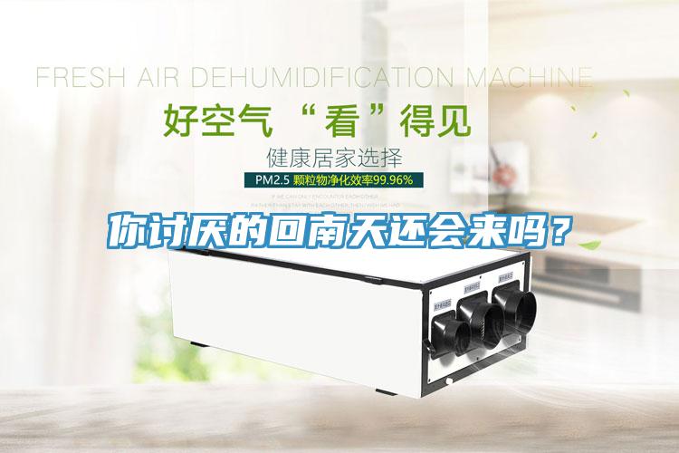 你討厭的回南天還會來嗎？