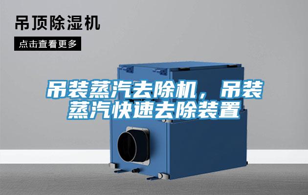 吊裝蒸汽去除機(jī)，吊裝蒸汽快速去除裝置
