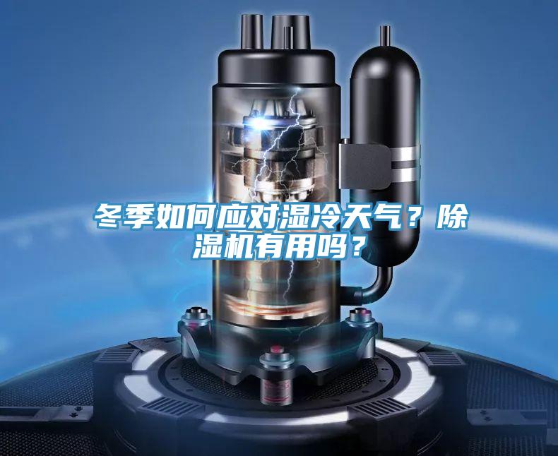 冬季如何應(yīng)對濕冷天氣？除濕機有用嗎？