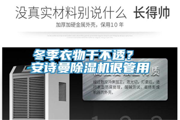 冬季衣物干不透？ 安詩曼除濕機很管用