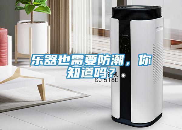 樂器也需要防潮，你知道嗎？