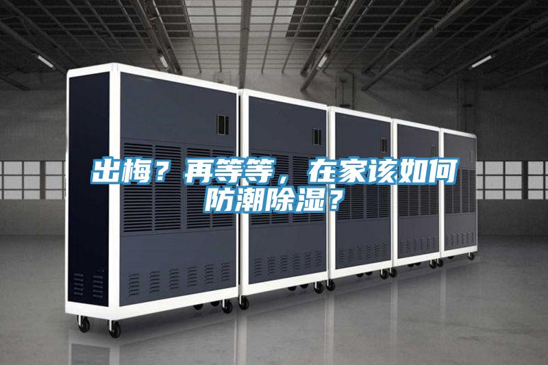 出梅？再等等，在家該如何防潮除濕？