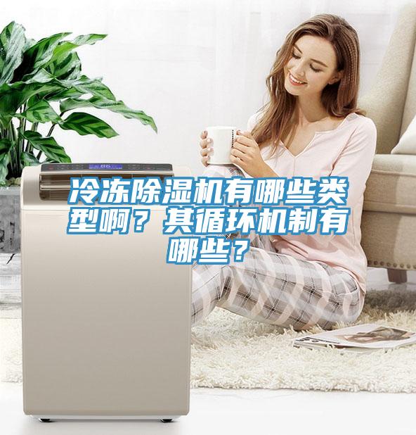 冷凍除濕機有哪些類型??？其循環(huán)機制有哪些？