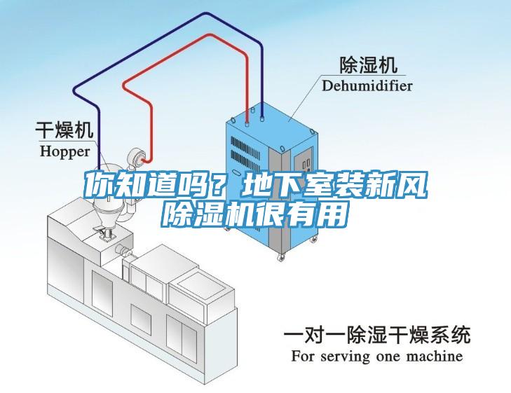 你知道嗎？地下室裝新風(fēng)除濕機(jī)很有用