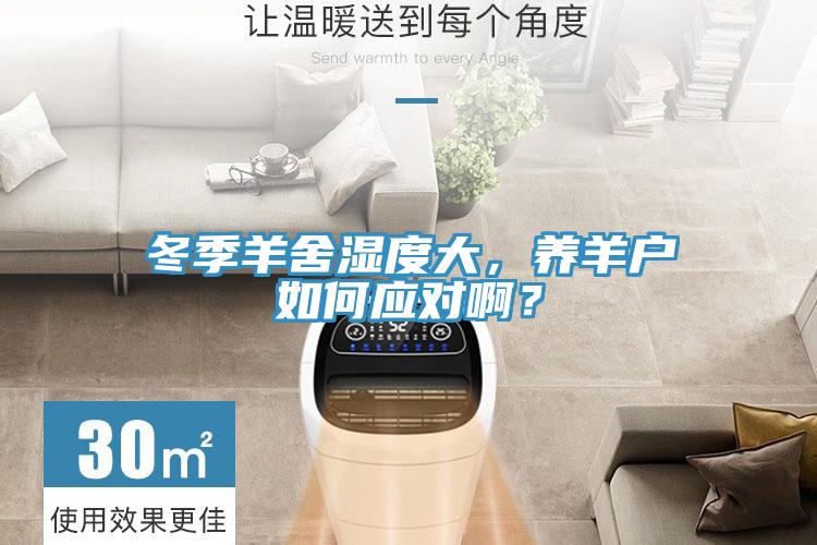冬季羊舍濕度大，養(yǎng)羊戶如何應(yīng)對??？