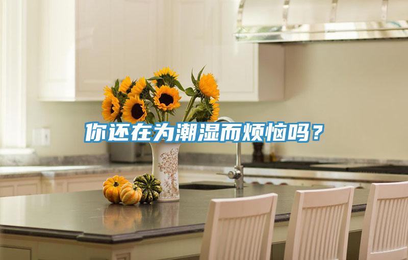 你還在為潮濕而煩惱嗎？