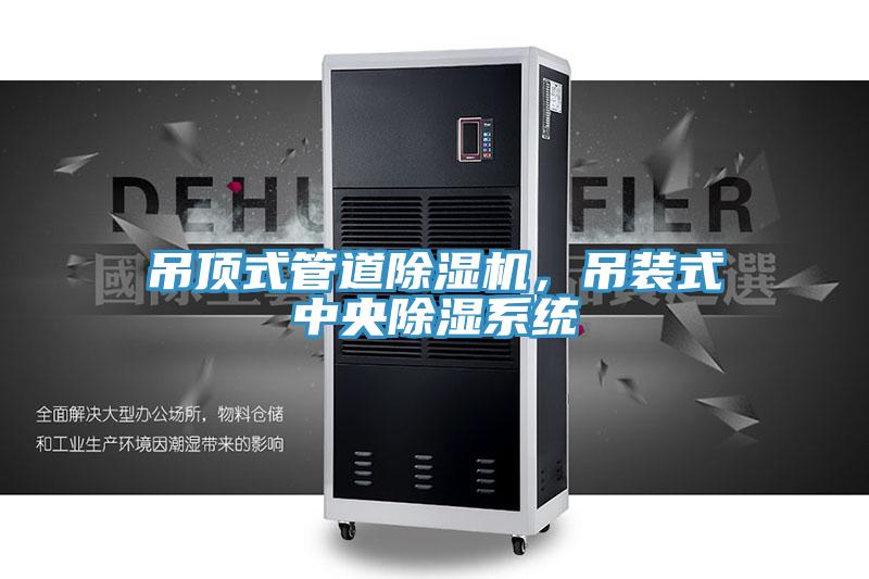吊頂式管道除濕機(jī)，吊裝式中央除濕系統(tǒng)