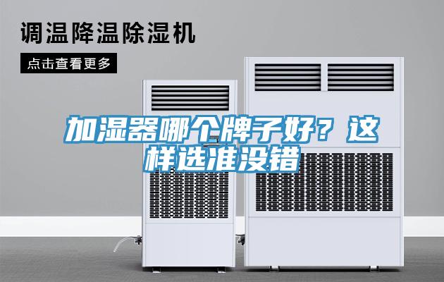 加濕器哪個(gè)牌子好？這樣選準(zhǔn)沒(méi)錯(cuò)