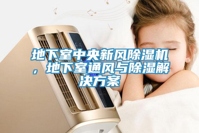 地下室中央新風(fēng)除濕機(jī)，地下室通風(fēng)與除濕解決方案