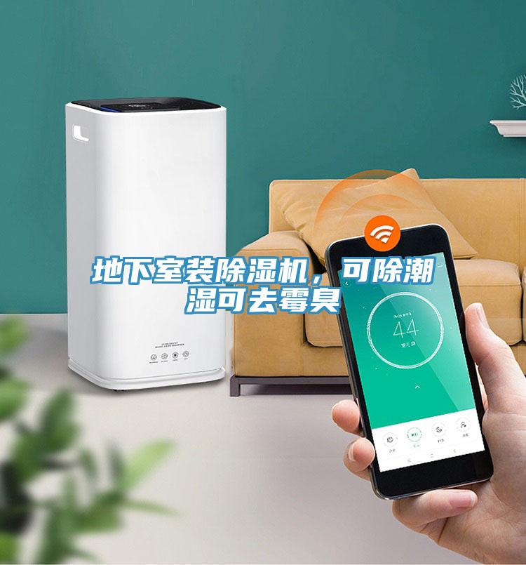 地下室裝除濕機(jī)，可除潮濕可去霉臭